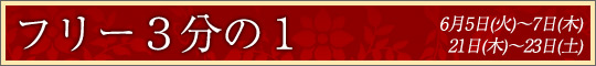 フリー3分の1